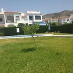 Coqueto En